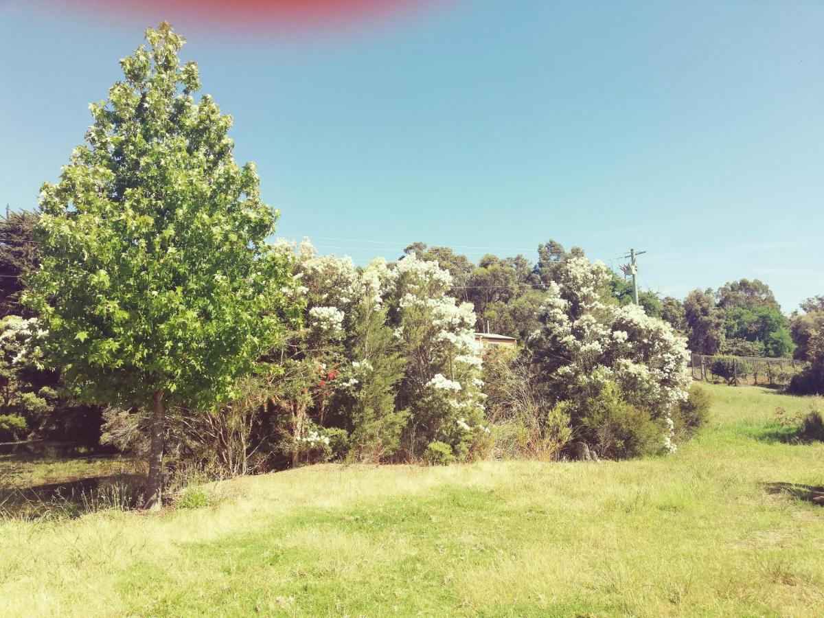 Woodlands Of Balingup Bush Cottages Екстериор снимка